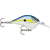 HSD